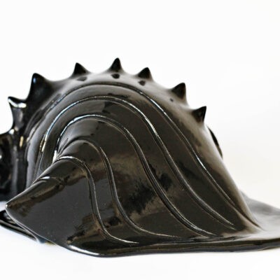 Czarna Muszla / Black Shell