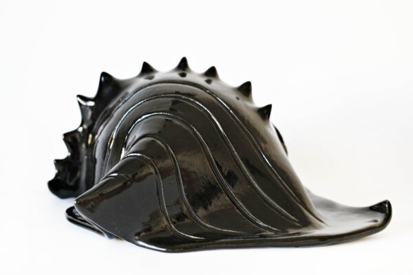 Czarna Muszla / Black Shell