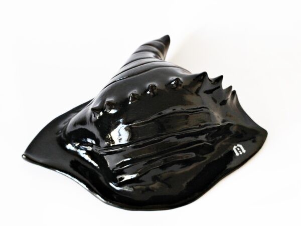 Czarna Muszla / Black Shell - obrazek 2