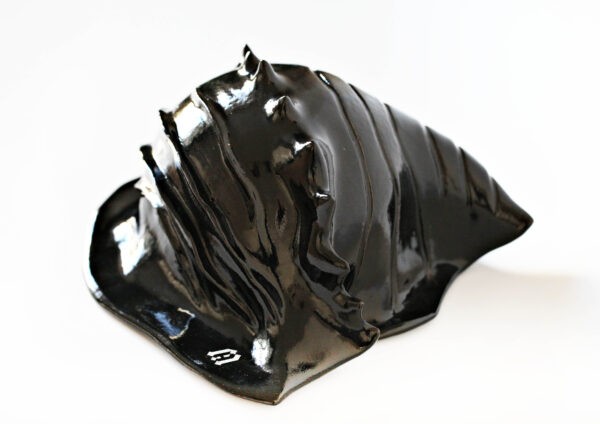Czarna Muszla / Black Shell - obrazek 3