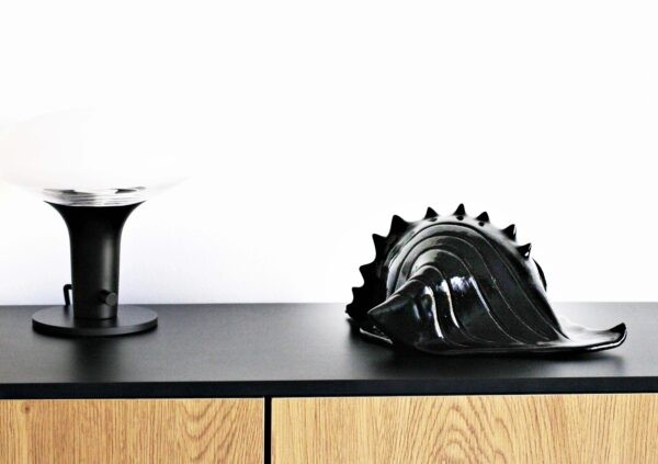 Czarna Muszla / Black Shell - obrazek 5