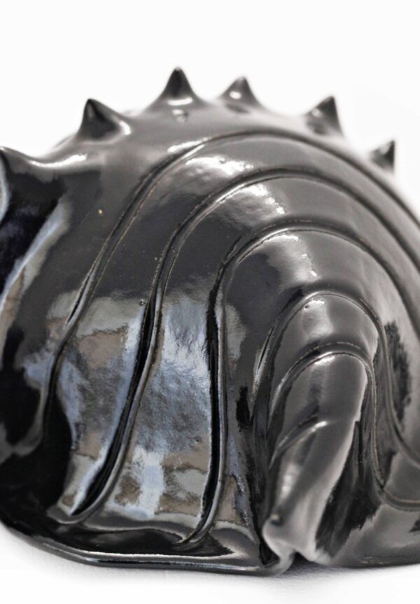 Czarna Muszla / Black Shell - obrazek 4